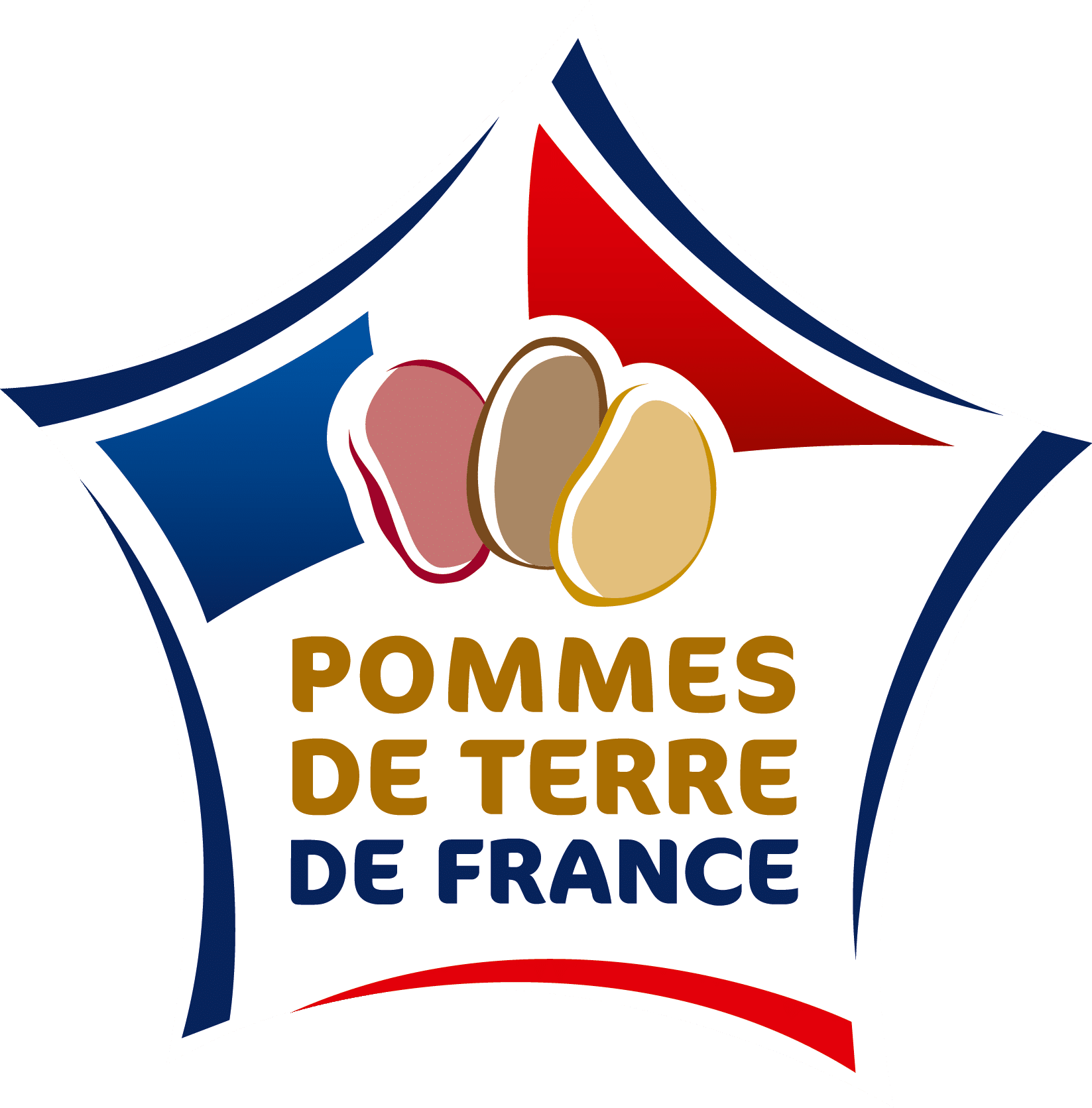 saveur de normadie pomme de terre de france