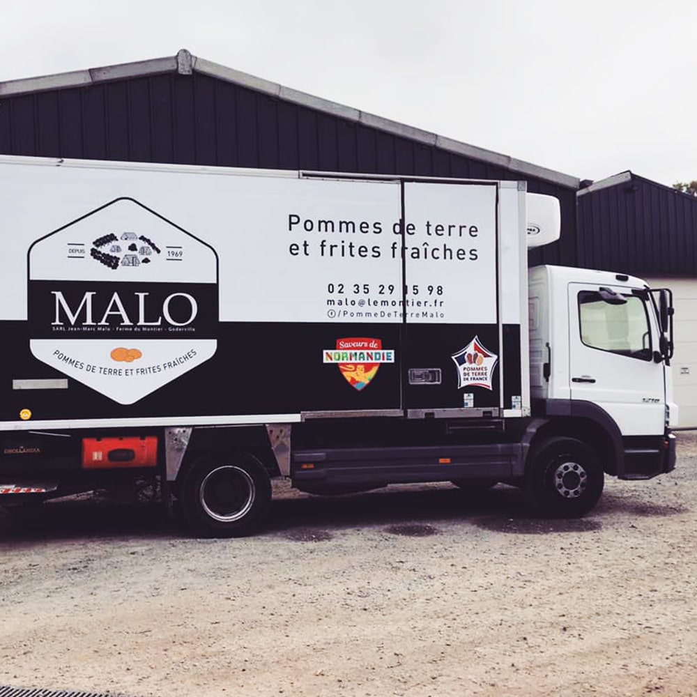 pomme-de-terre-malo-carre-21